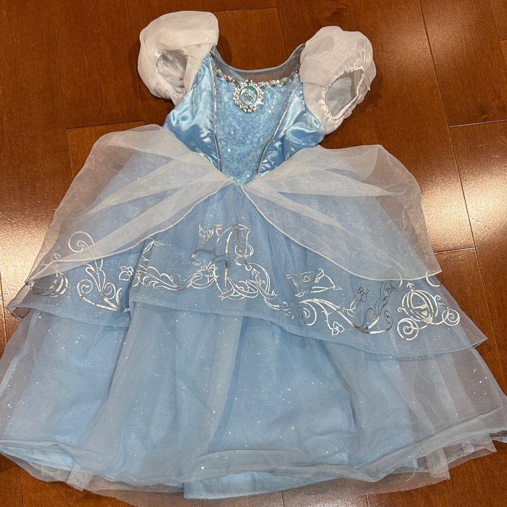 Disney Sparkling Blue and Silver Princess Dress